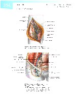 Sobotta  Atlas of Human Anatomy  Trunk, Viscera,Lower Limb Volume2 2006, page 361